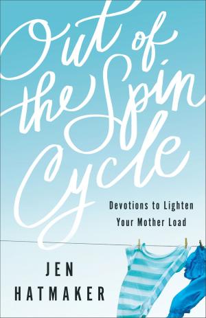 Cover of the book Out of the Spin Cycle by Terence Nichols