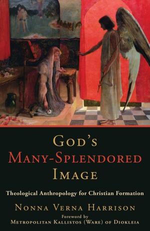Cover of the book God's Many-Splendored Image by Regina Jennings