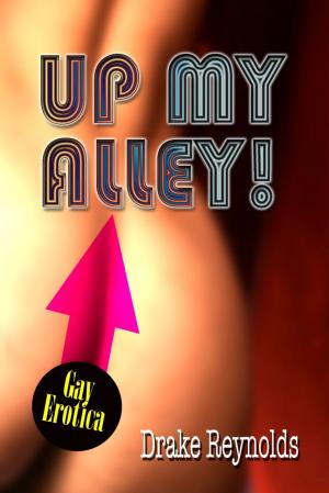 Cover of the book Up My Alley: Gay Erotica by Darlene