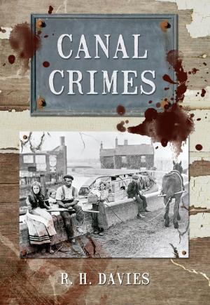 Book cover of Canal Crimes