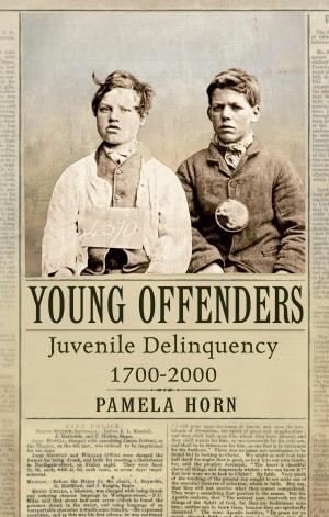 Cover of the book Young Offenders by Ray Jones