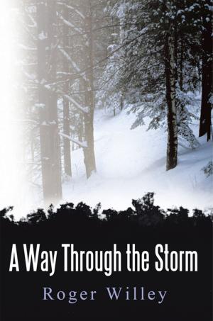 Cover of the book A Way Through the Storm by Siân Busby
