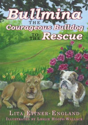 Cover of the book Bullmina the Courageous Bulldog to the Rescue by Qasim Hirsi Farah