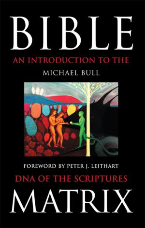 Cover of the book Bible Matrix by GJ Neumann