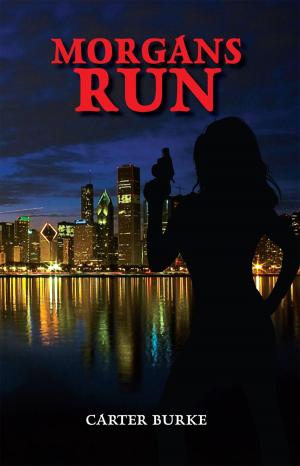Cover of the book Morgans Run by Dr. James E. Randolph