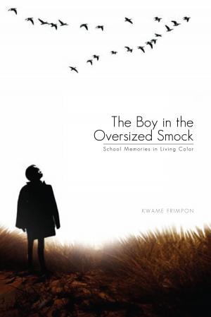 Cover of the book The Boy in the Oversized Smock by A. W. Touchette