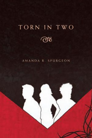 Book cover of Torn in Two