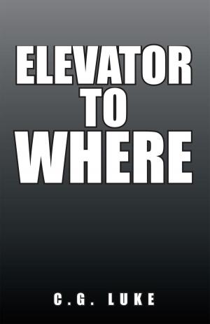 Cover of the book Elevator to Where by William Schulman