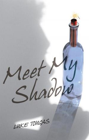 Cover of the book Meet My Shadow by Jay Helfert