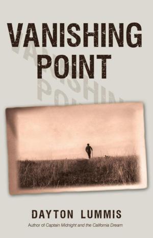 Cover of the book Vanishing Point by Rita Braun
