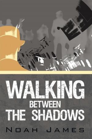 Cover of the book Walking Between the Shadows by Phyllis Adair Ward