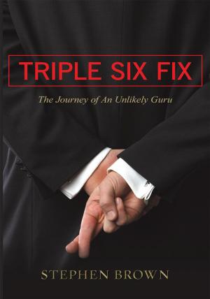 Cover of the book Triple Six Fix by Susan Berliner