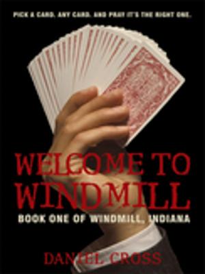 Cover of the book Welcome to Windmill by Jan Smolders