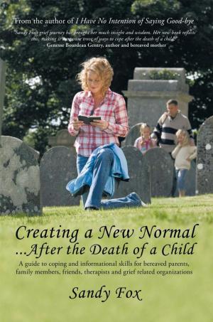 Cover of the book Creating a New Normal...After the Death of a Child by Adrian Cruz