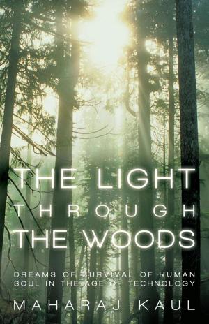 bigCover of the book The Light Through the Woods by 