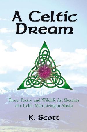 Cover of the book A Celtic Dream by Donny Petersen