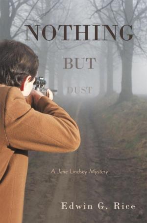 Cover of the book Nothing but Dust by Karen Buford