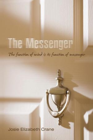 Cover of the book The Messenger by Robert E. Riggs