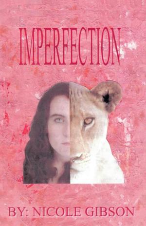 Cover of the book Imperfection by Tristen Kozinski, Keegan Kozinski
