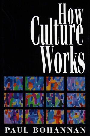 Cover of the book How Culture Works by Robert Wuthnow