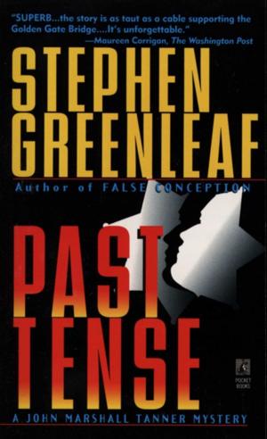 Cover of the book Past Tense by Susan Sizemore