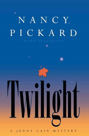 Cover of the book Twilight by Mariah Stewart