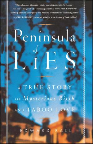 Book cover of Peninsula of Lies