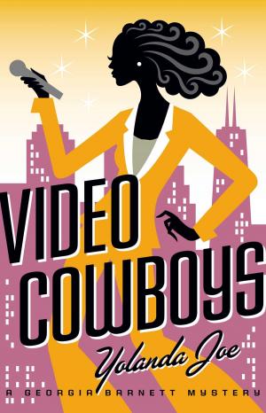 Cover of the book Video Cowboys by Michael Robbins