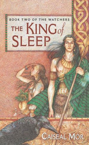 Cover of the book The King of Sleep by John Breen Wren