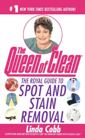 Cover of the book The Royal Guide to Spot and Stain Removal by Anne Canadeo