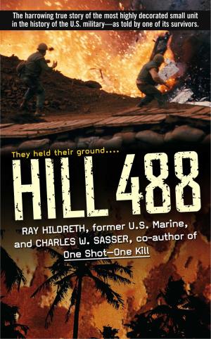 Cover of the book Hill 488 by Jennifer Estep