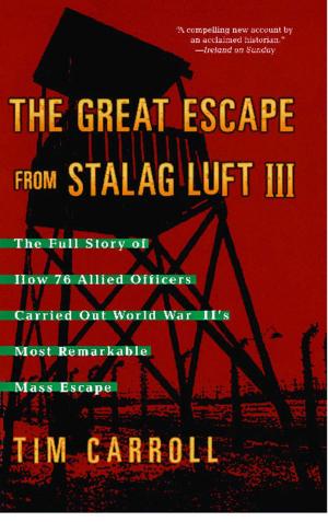 Cover of the book The Great Escape from Stalag Luft III by Sophie Littlefield
