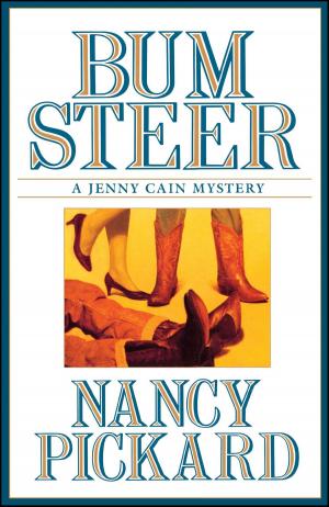 Cover of the book Bum Steer by Johanna Lindsey