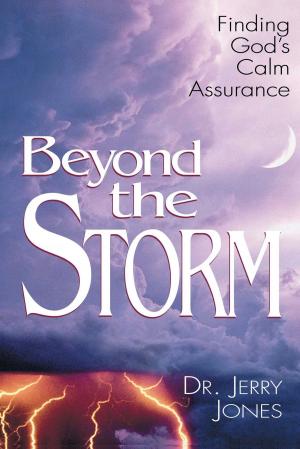 Cover of the book Beyond the Storm by Stuart Briscoe