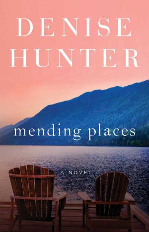 Cover of the book Mending Places by Ed Young
