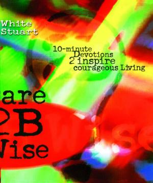 Book cover of Dare 2B Wise