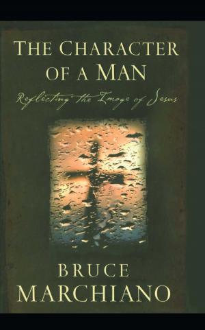 Cover of the book The Character of a Man by Rob Lilwall