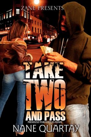 Cover of the book Take Two and Pass by Zane, Rique Johnson, Shawan Lewis, Dywane D. Birch, Janice Adams