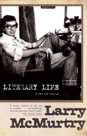 bigCover of the book Literary Life by 