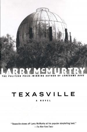 Cover of the book Texasville by Dr. Lawrence Kutner, Dr. Cheryl Olson