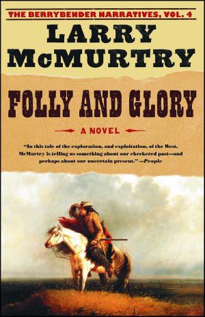 bigCover of the book Folly and Glory by 