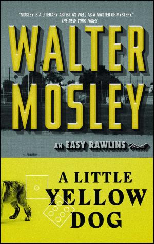 Cover of A Little Yellow Dog by Walter Mosley, Washington Square Press