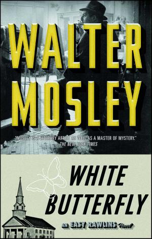 Book cover of White Butterfly