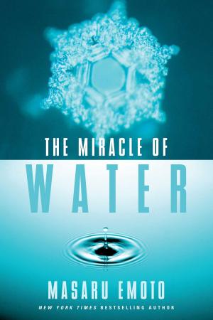 Cover of the book The Miracle of Water by Richard Marcinko, John Weisman