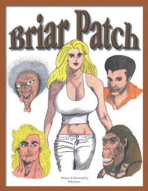 Cover of the book Briar Patch by Leanne Garrett Flanagan