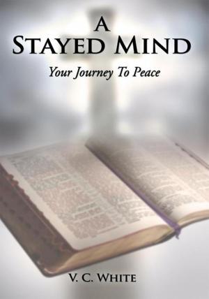 Cover of the book A Stayed Mind by Virginia A. Baker