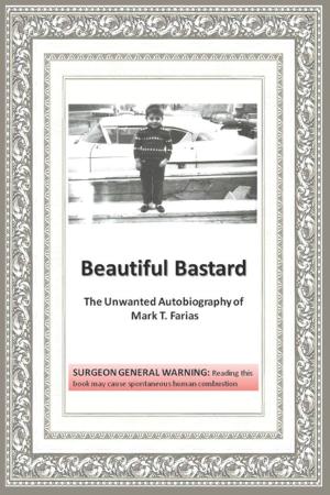 Book cover of Beautiful Bastard