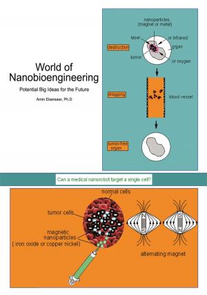 Book cover of World of Nanobioengineering