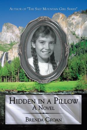 Cover of the book Hidden in a Pillow by Maudie Louise Green