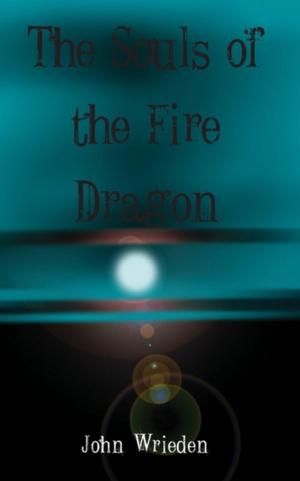 Cover of the book The Souls of the Fire Dragon by Kristy Tate